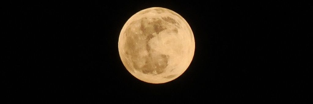 _ConnorWhit3's profile banner image
