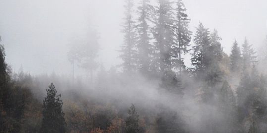 sjroberts2014's profile banner image