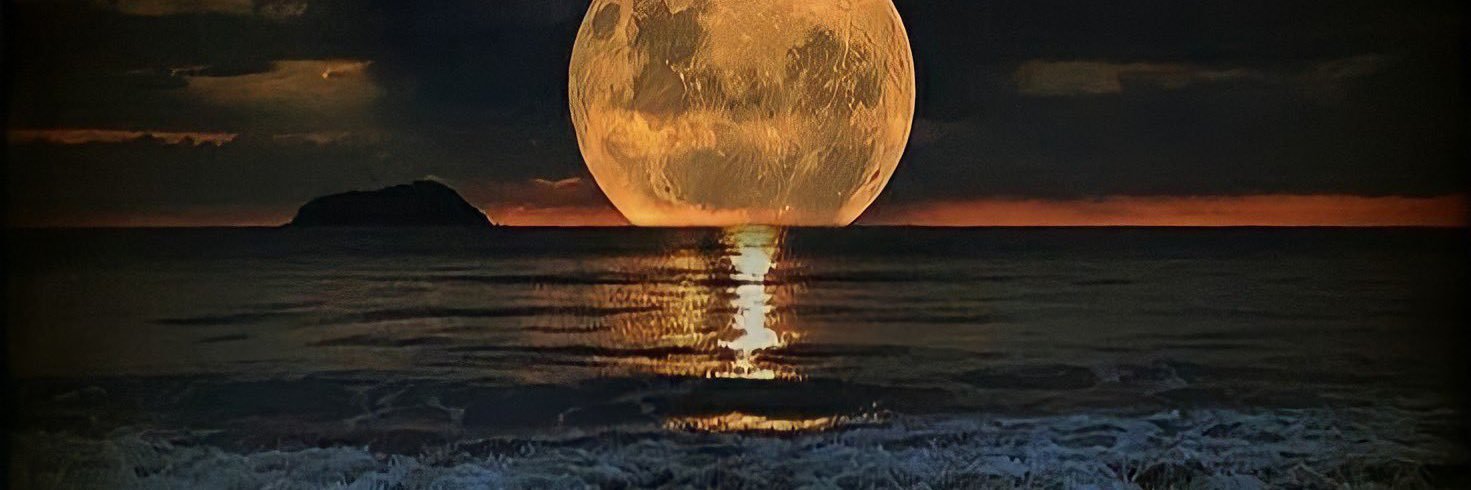 Marlysamo's profile banner image