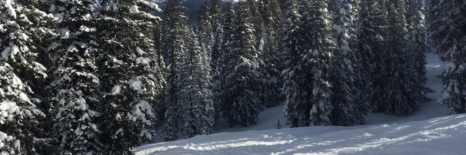 ablaufuss's profile banner image