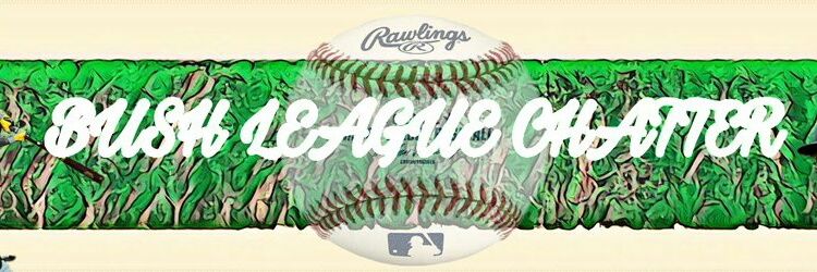 BushLeagueTalk's profile banner image