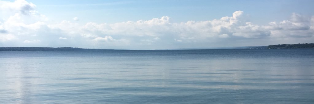 BrieYonge's profile banner image