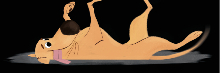 Christian Alvarez banner