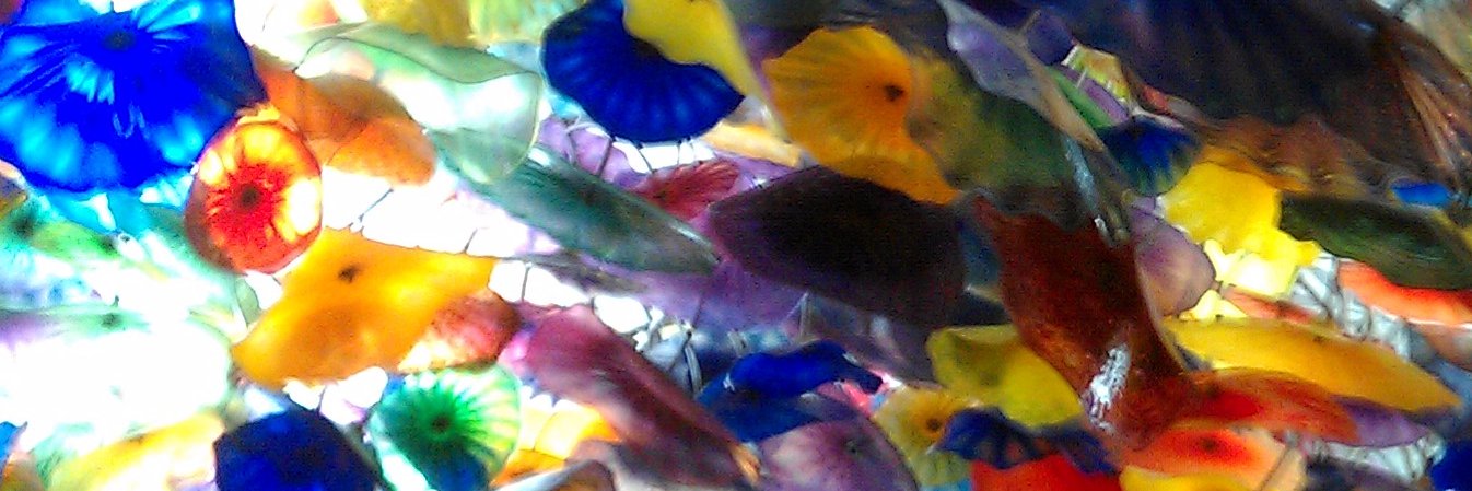 Theresa Kilcommons banner