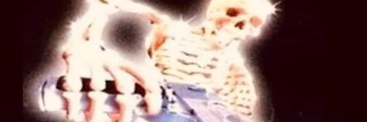 probably alex banner