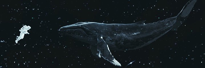 Jan3Evans's profile banner image