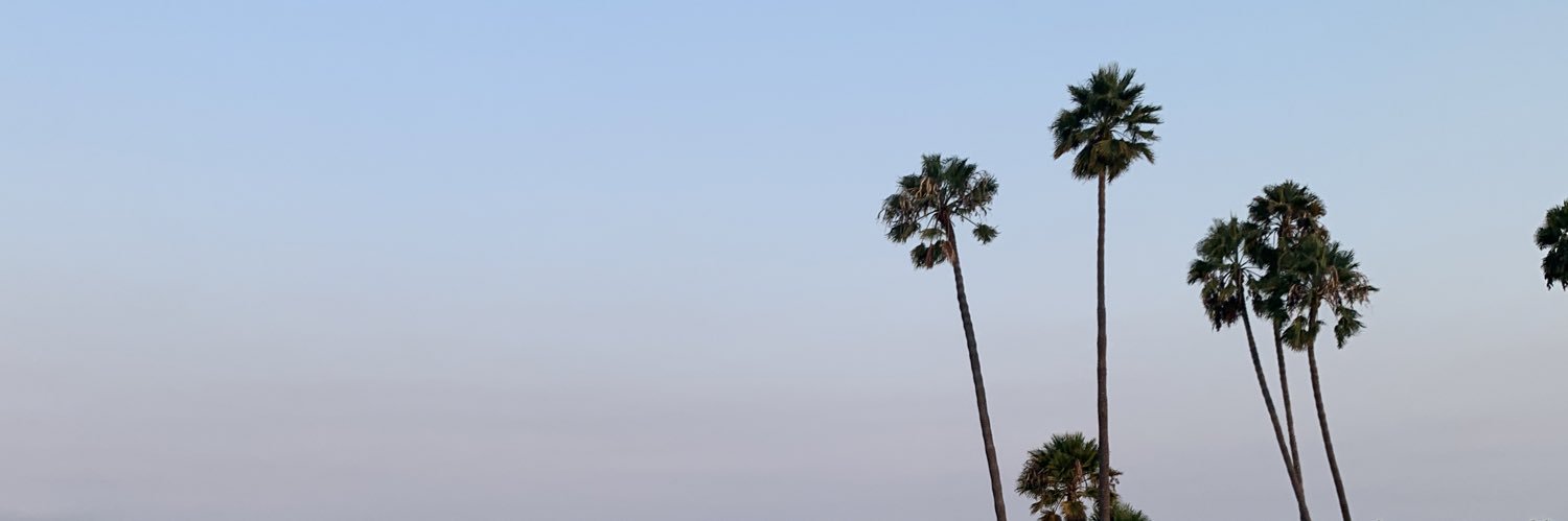 LisetteIrie's profile banner image