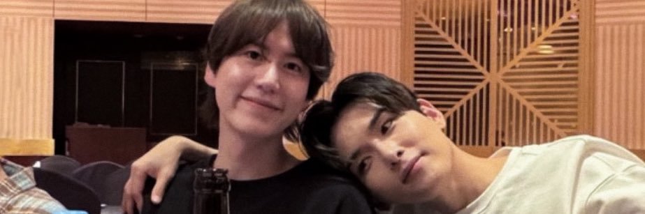 pseudowook's profile banner image