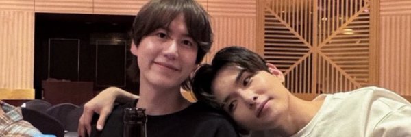 pseudowook Profile Banner