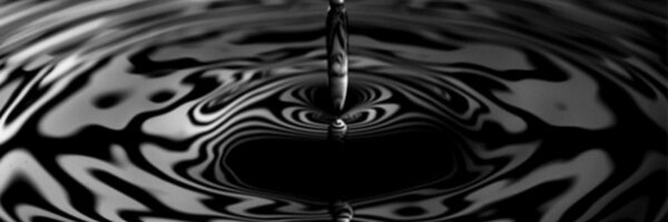 LangtreeLKN Profile Banner