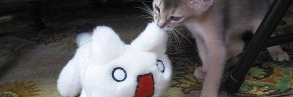 tabs 🇦🇷 banner