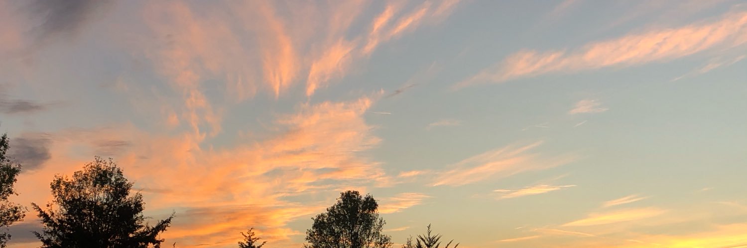 LizConcel's profile banner image