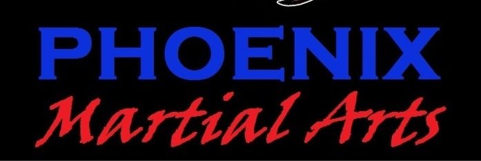 MartialPhoenix's profile banner image