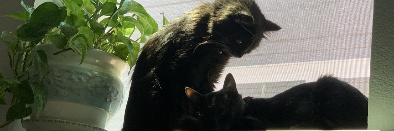 ༞ꨄмιαиzα иgυуєиꨄ༞ banner