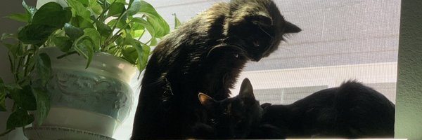 getmangledson Profile Banner