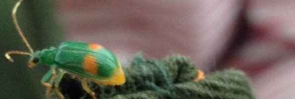 Cronopios_69's profile banner image