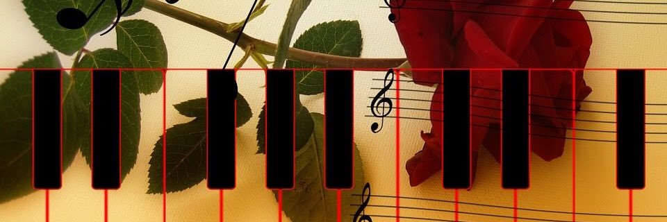 Working4TV's profile banner image