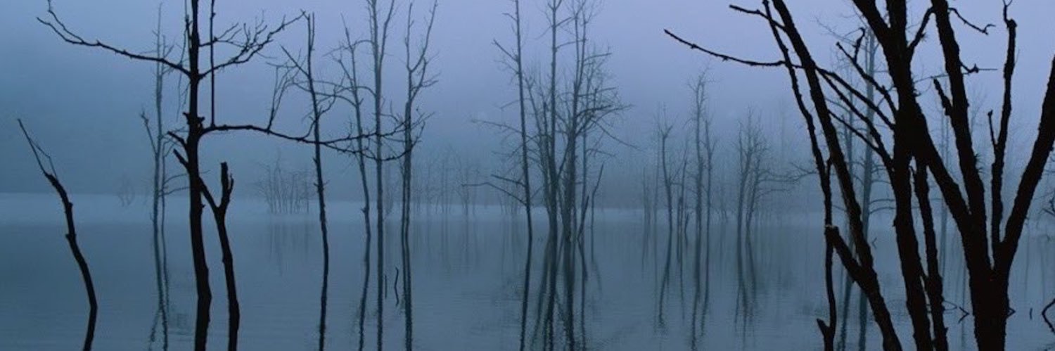 おすぎちゃん🦵リハビリ🍑強化 banner