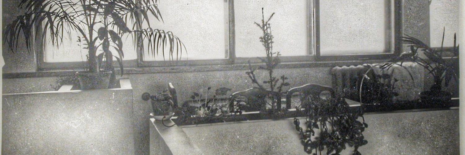 Narkomfin's profile banner image