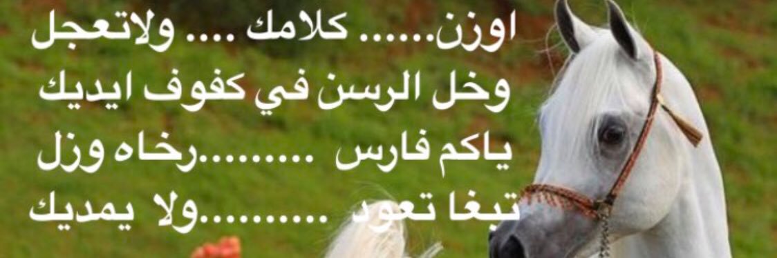 AlHarbiya3's profile banner image
