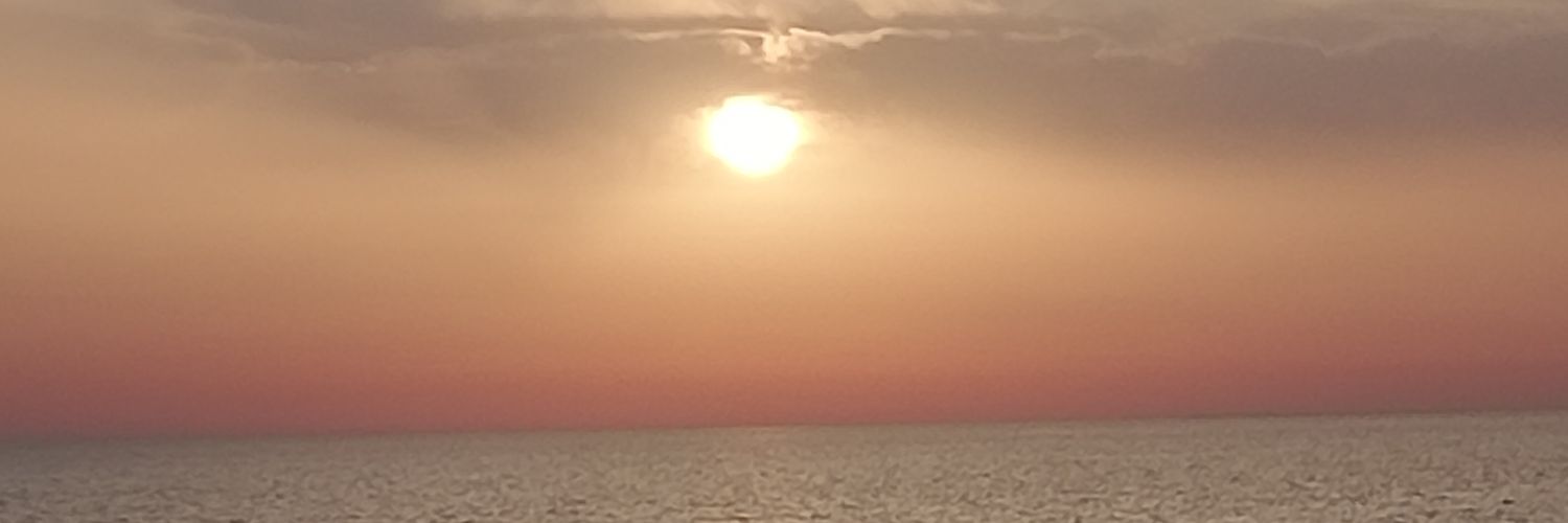 molicedo's profile banner image
