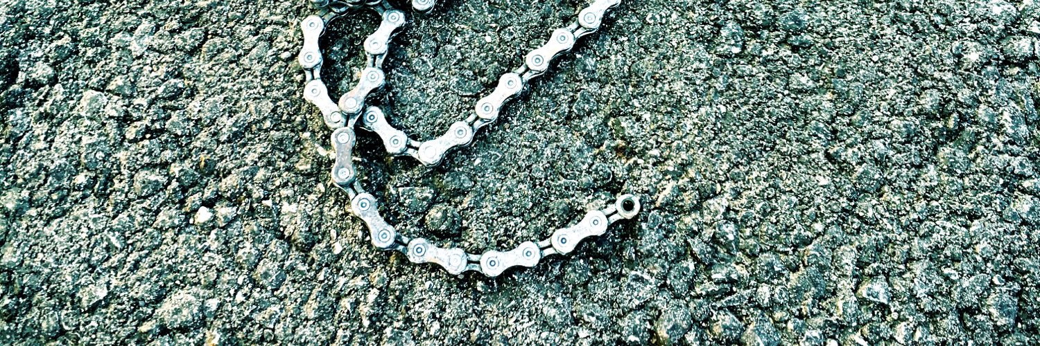 Eugenia Martin banner