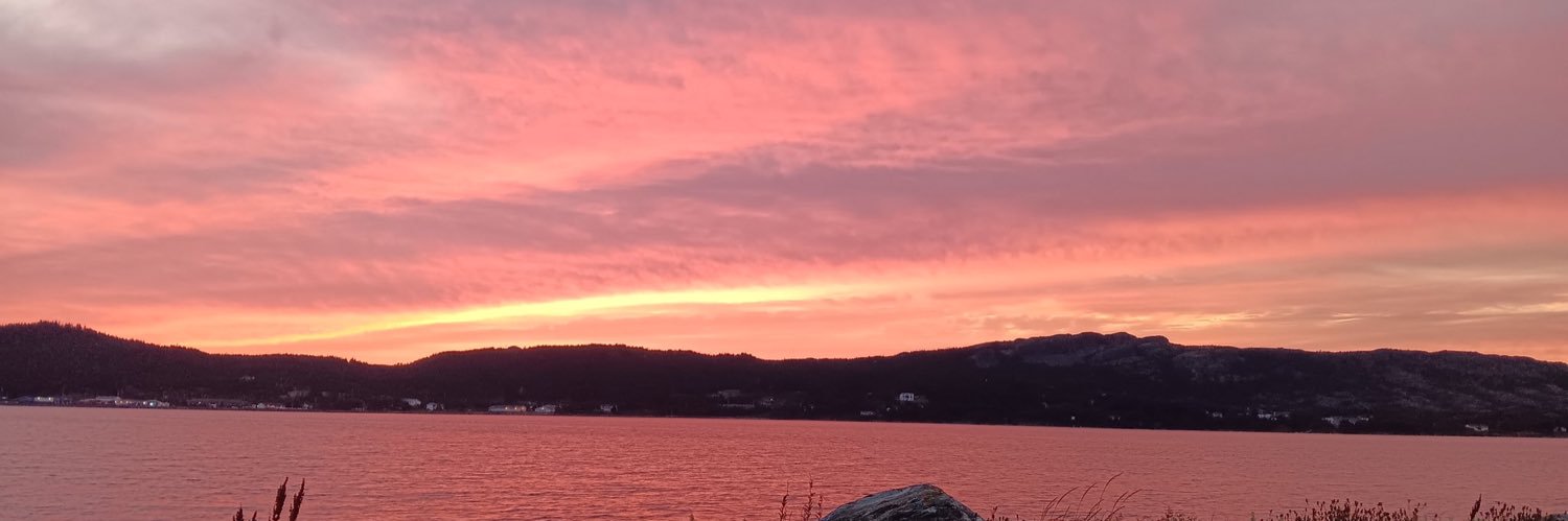 salty islander 🇨🇦 banner