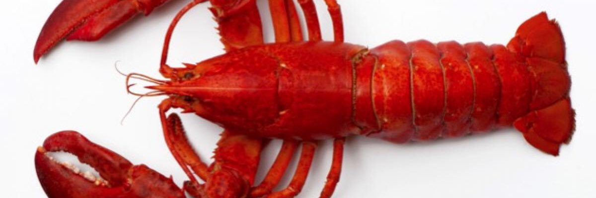 bbannon12's profile banner image