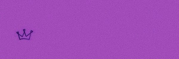 SheIbyNFT's profile banner image