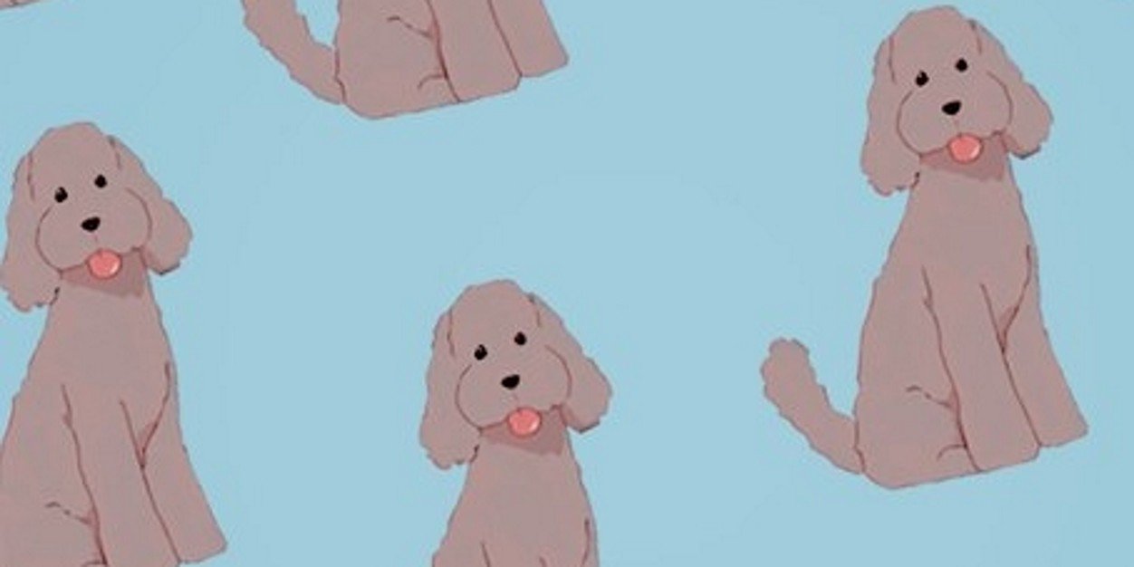 AVOCADO🥑 banner