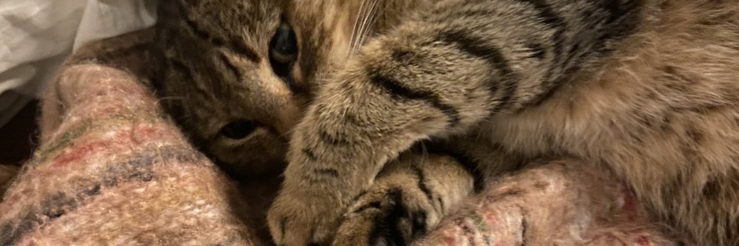 hhbrt_'s profile banner image