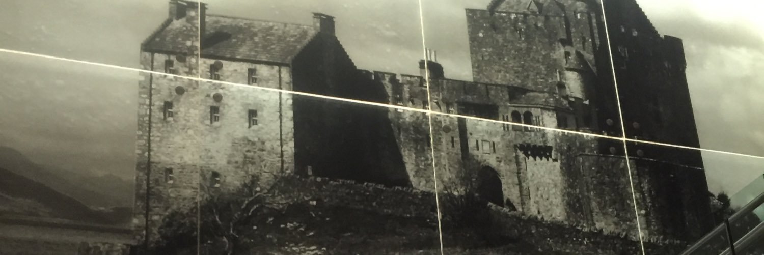 david davidson banner