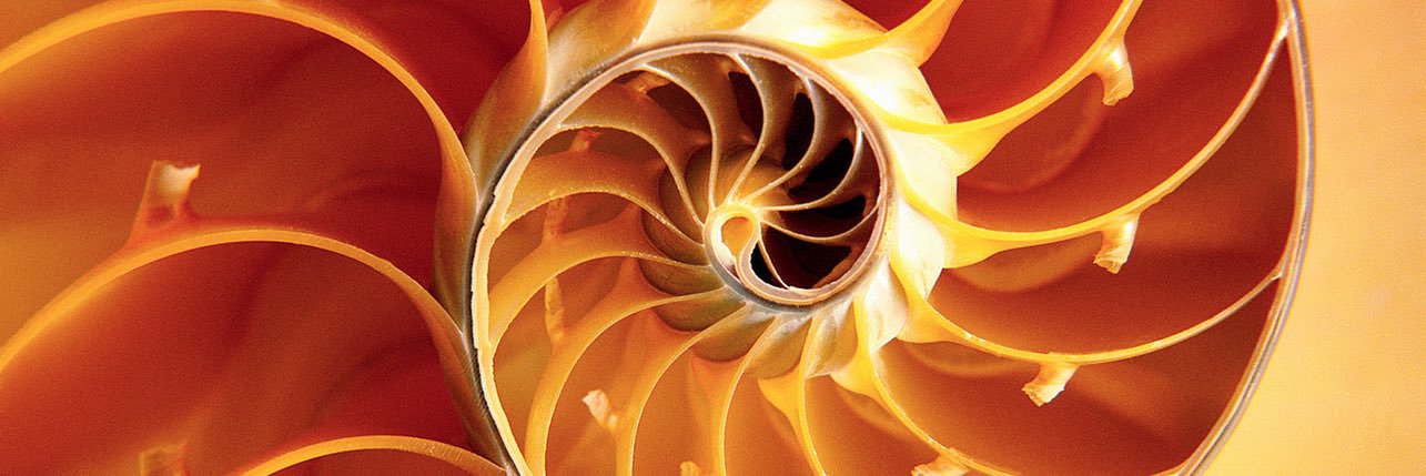 AnRieTweet's profile banner image