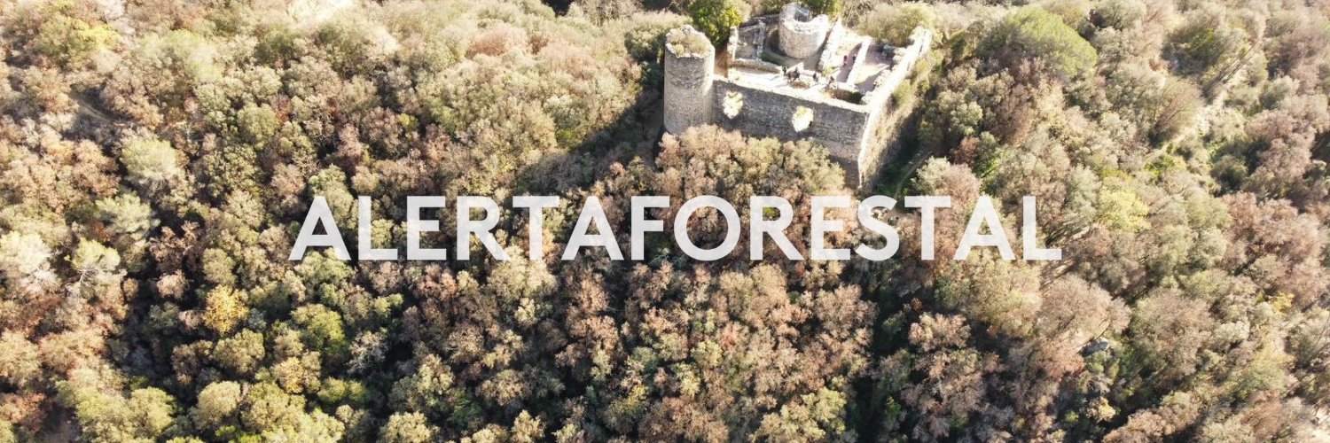 AlertaForestal's banner