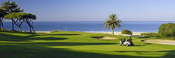 1111Toma Profile Banner