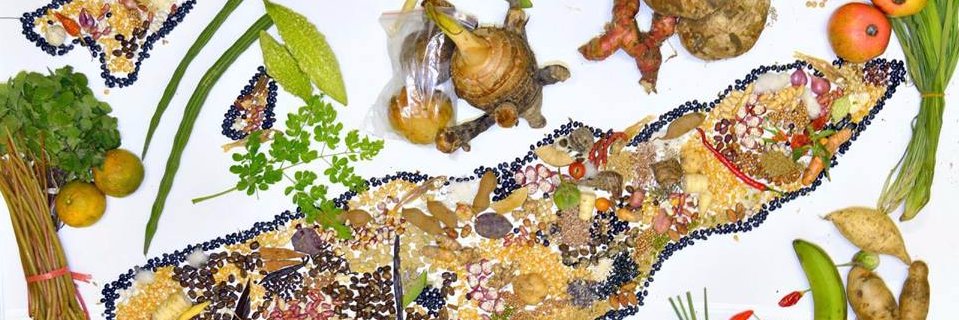 SlowFoodDili's profile banner image