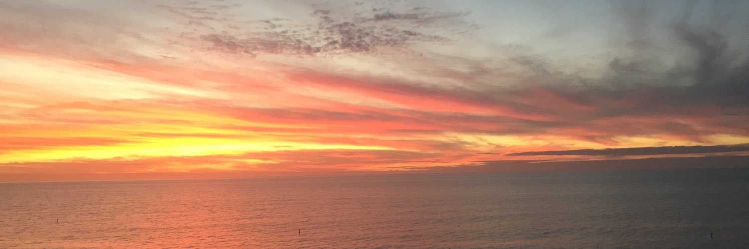 MereLumberg's profile banner image