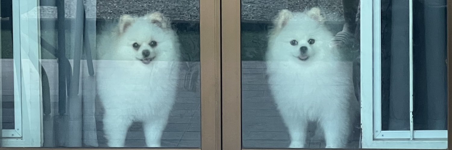 หมอพาลิได้นอนกี่โมง banner