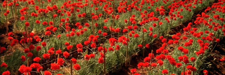 jean2florette's profile banner image