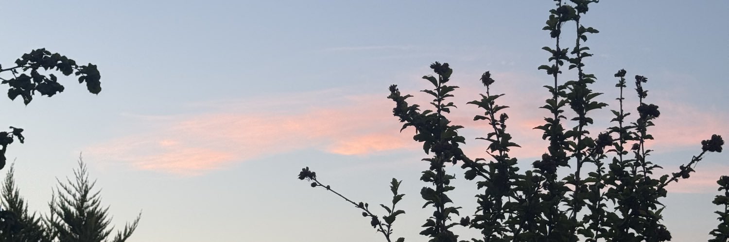 777ik7's profile banner image