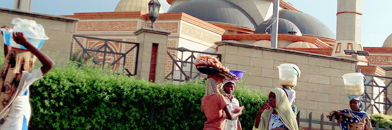 #SaveIlaje banner