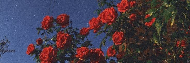 Dadada 🥀 banner