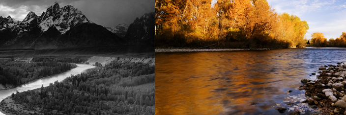 rich_asay's profile banner image