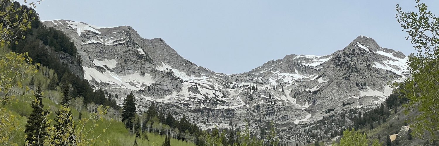 SLC_bears's profile banner image