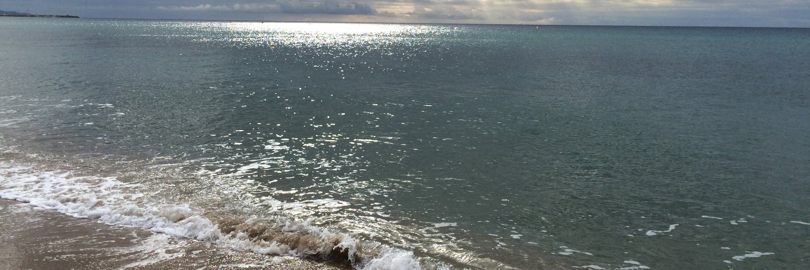 Manel Garcia ||*|| banner