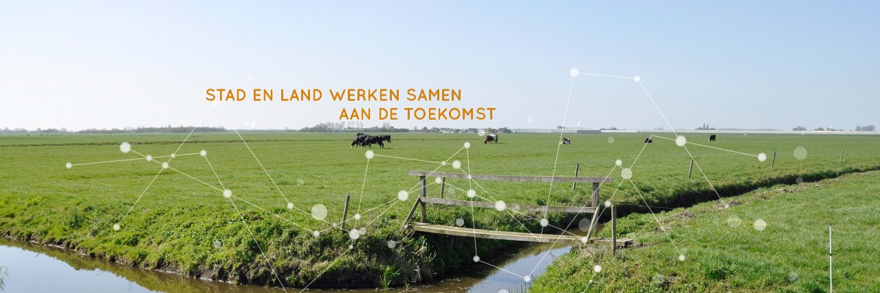 Midden in Delfland's banner