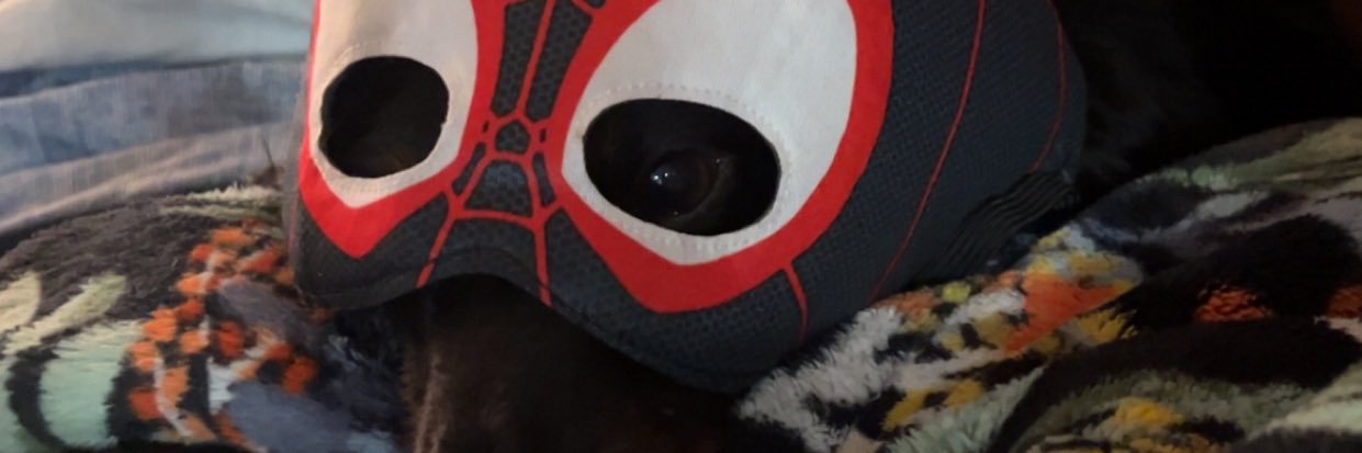 lillshorty2016's profile banner image