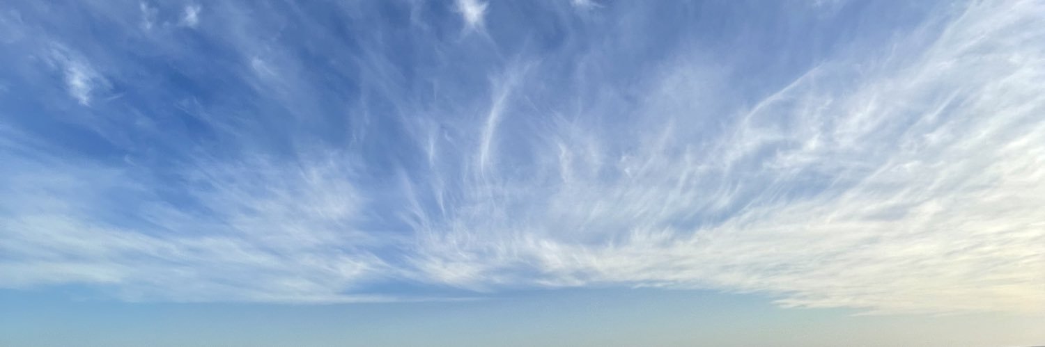 SueltaLengua's profile banner image