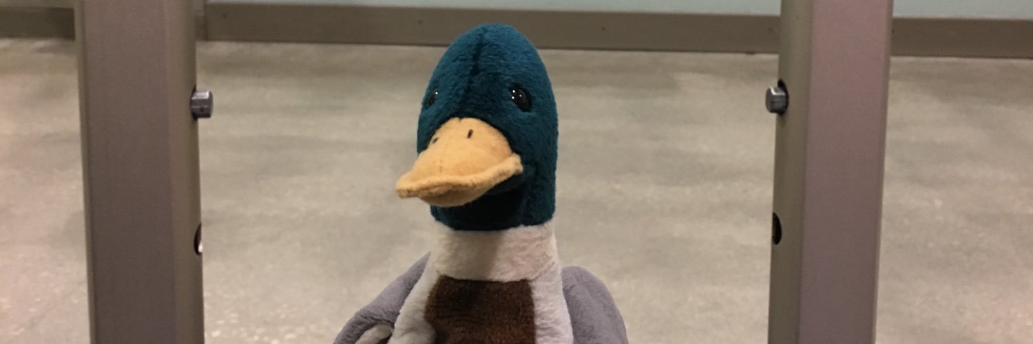 Duck1167's profile banner image