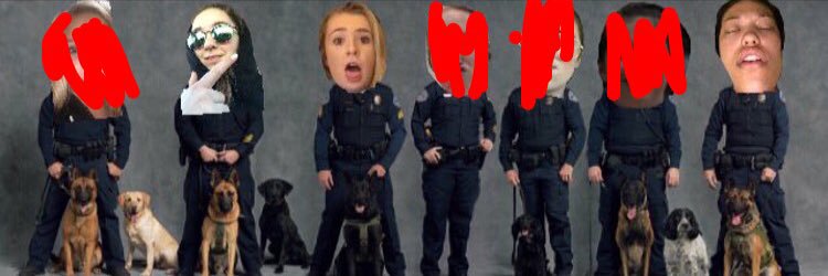 TheFedsss's profile banner image